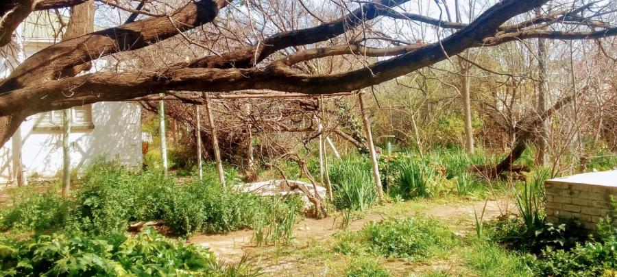 3 Bedroom Property for Sale in Philippolis Free State